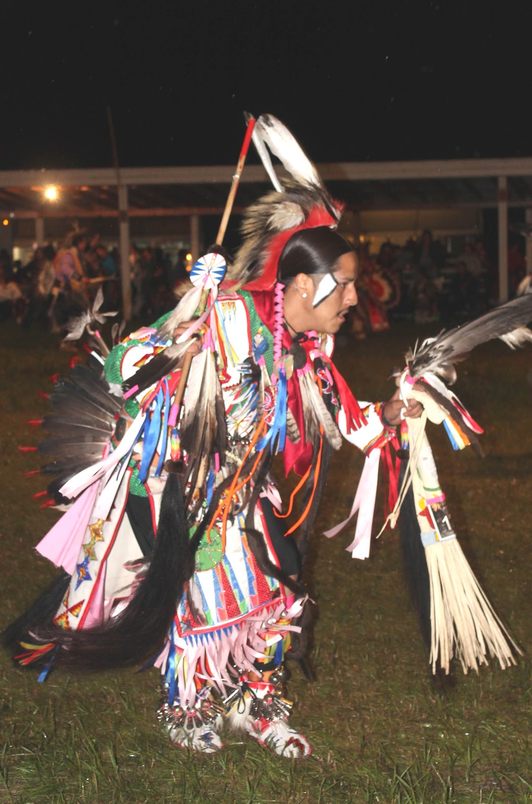 THE TURTLE ISLAND MESSENGER