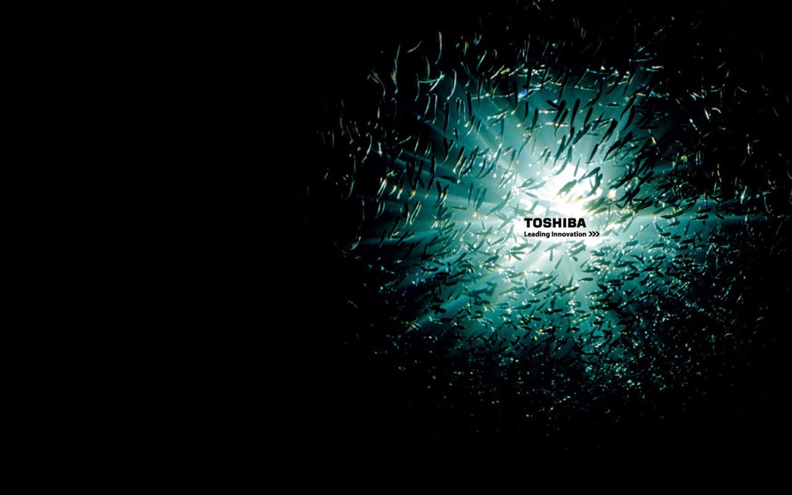 wallpapers: Toshiba Wallpapers