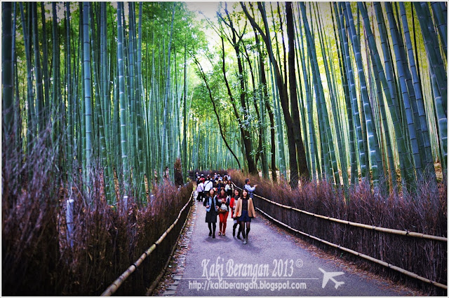 kansai japan 2013 9 bamboo grove arashiyama nishiki market kyoto 4