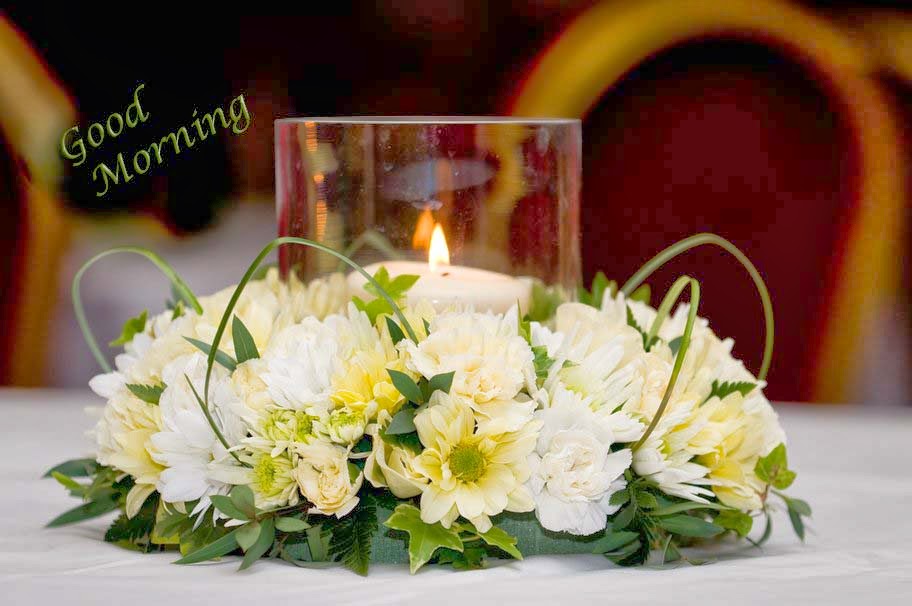 Lovely and Beautiful Good Morning Wallpapers Image Wallpapers