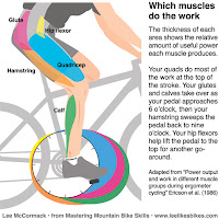 road cycling cleat position