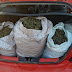 Trinta quilos de maconha são apreendidos em carro no norte da Bahia