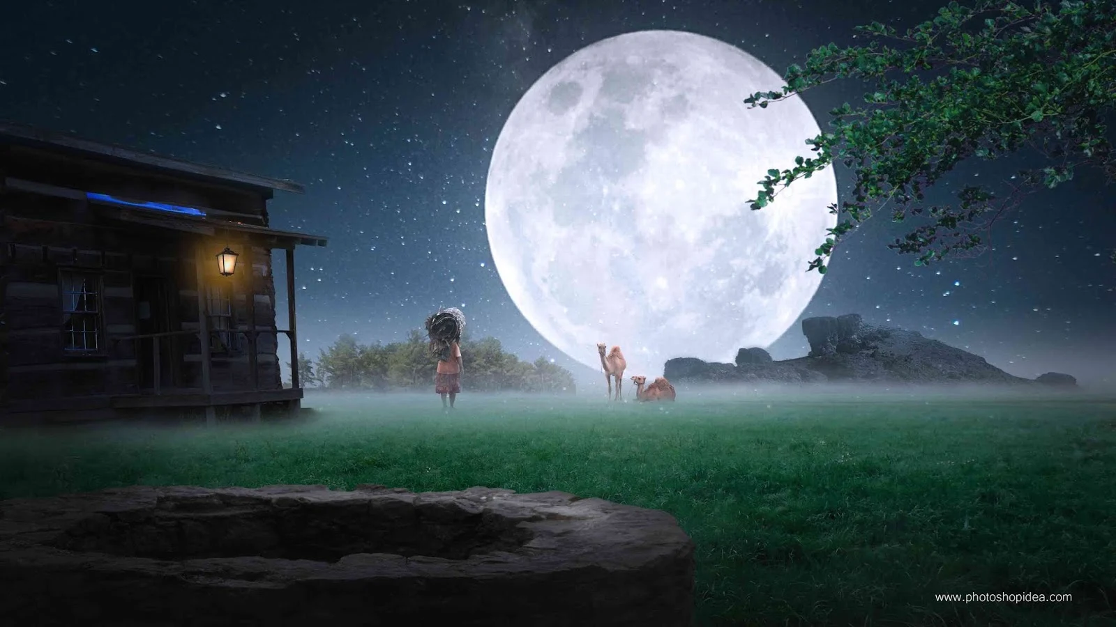 Nature background night effect with moon full hd background 