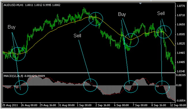 Macd forex robot