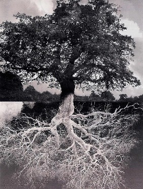Another PorchA Poetry Blog Roots
