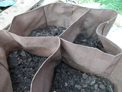 Planting potatoes in a bag 80 Minute Allotment Green Fingered Blog