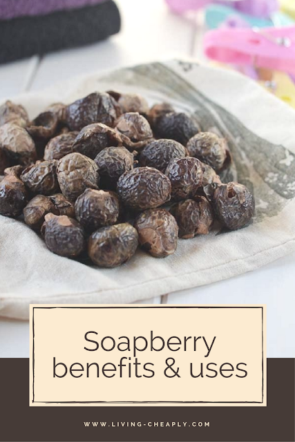 Soapberry-benefits-&-Uses
