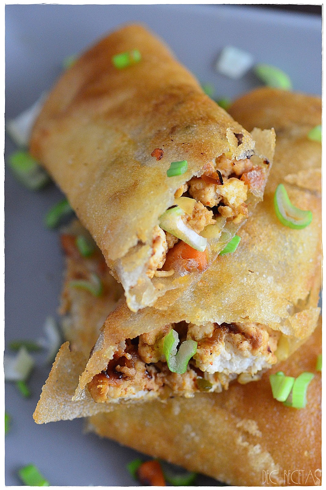 Rolls de pollo y verdura DECORECETAS