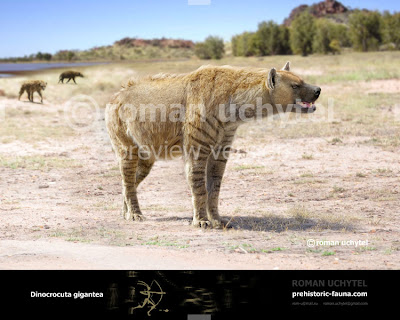 hienas prehistoricas Dinocrocuta