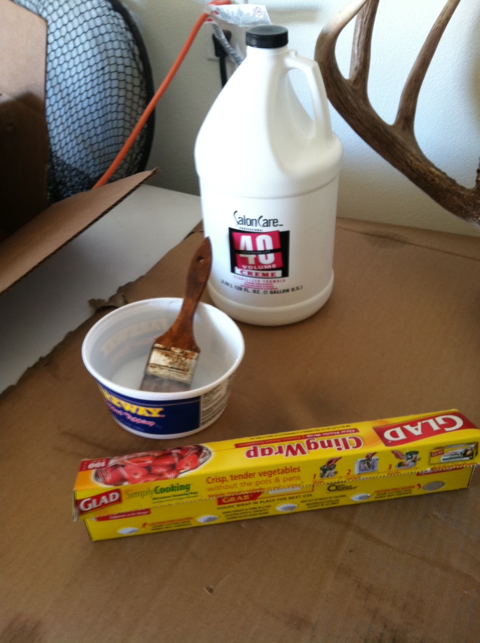 Bones n' Broadheads European Mounts