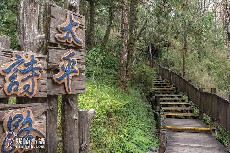 【太平山景點】雲海咖啡館。山間最美的景觀咖啡廳