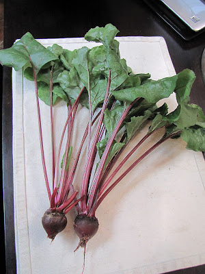 Bucolic Bushwick Indoor Vegetable Gardening