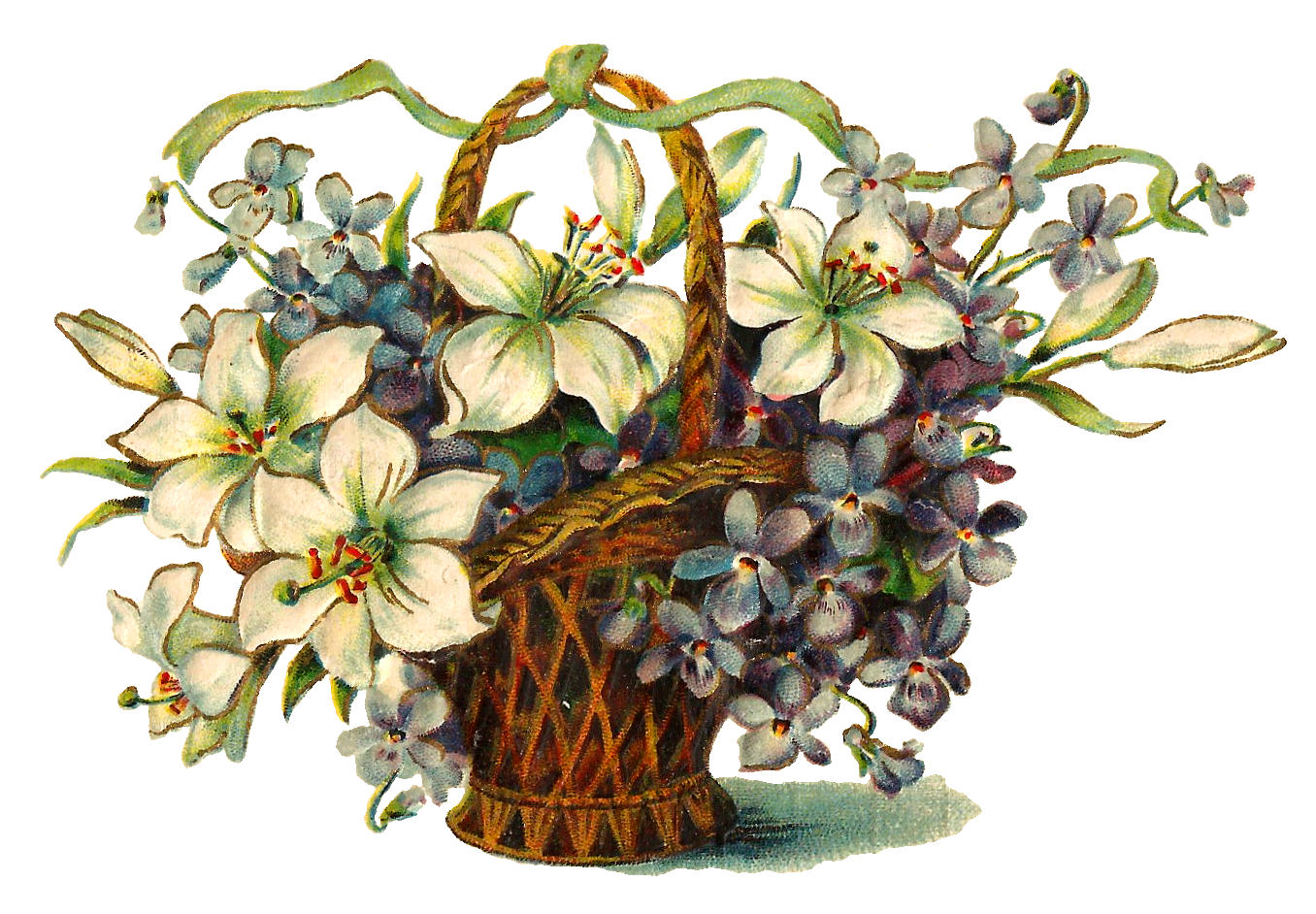 flower basket clipart - photo #8