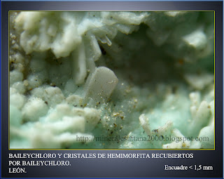 Vitrina Mineralógica Virtual NitAna2000 FRAIPONTITA BAILEYCHLORO. LEÓN.