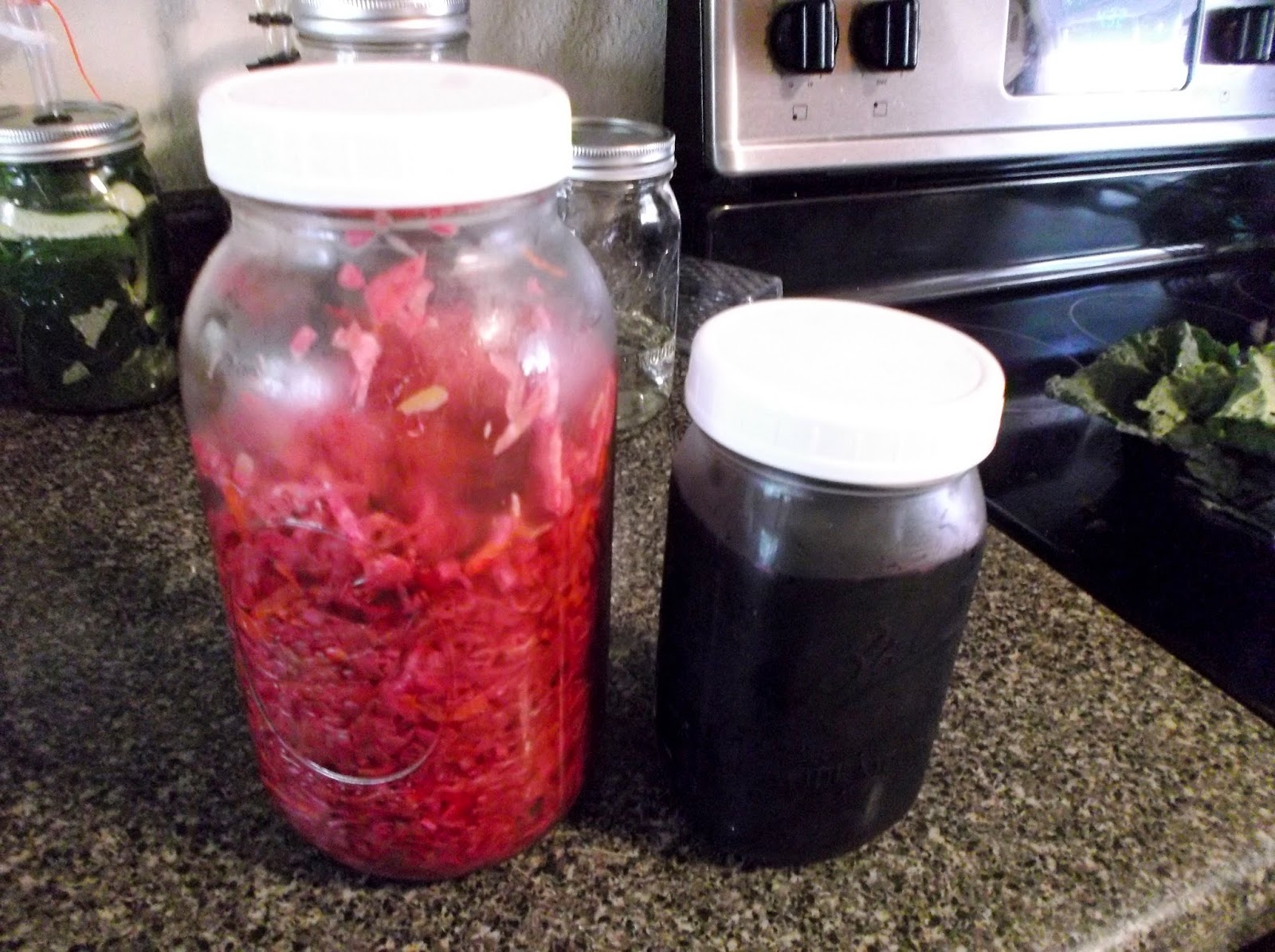Noelle likes Good Food DIY Airlock for Lactofermentation