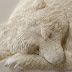 If You Think That's A Sleeping Polar Bear, Then Look Closely... You'll Be Amazed!