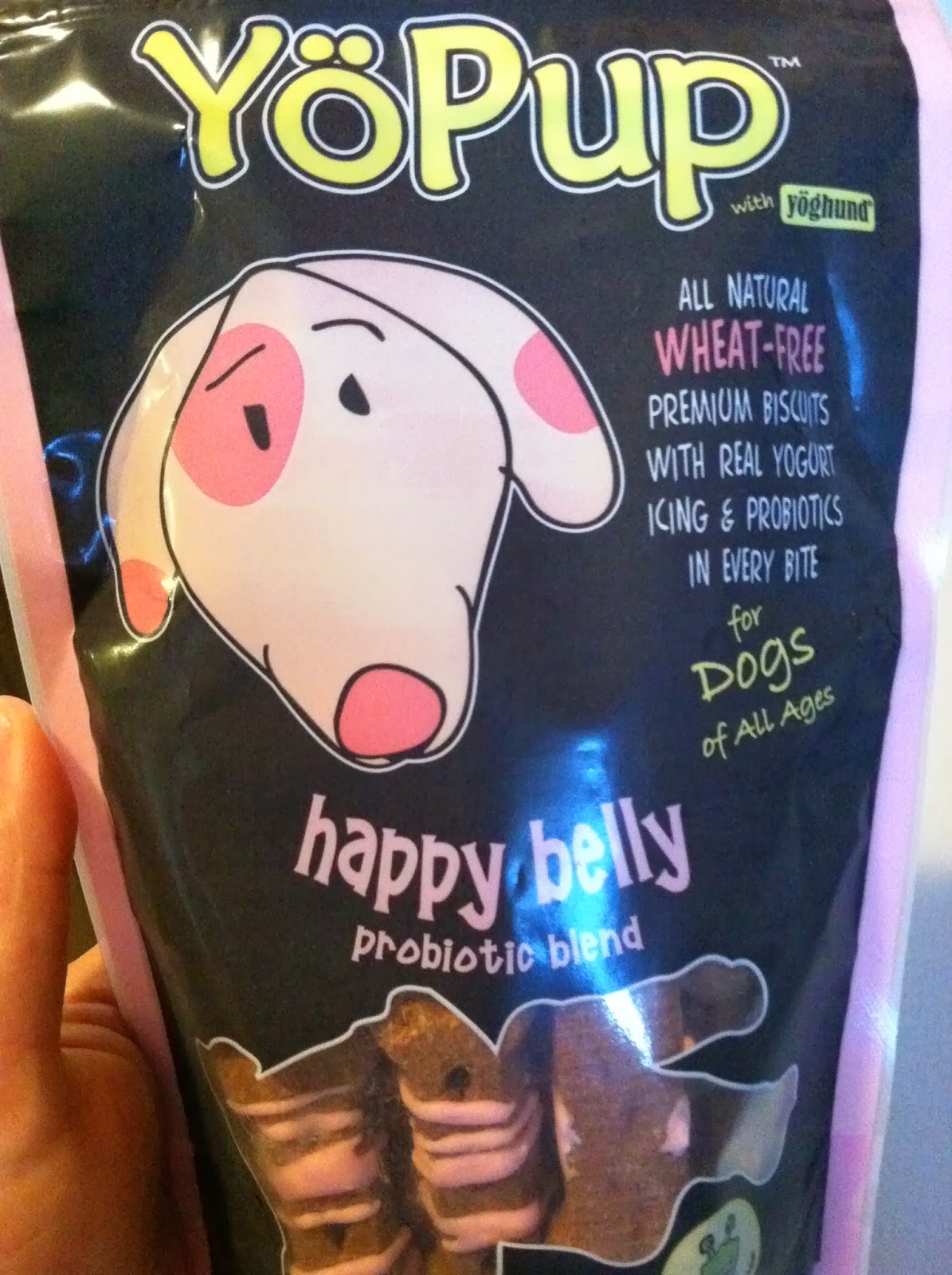 Yopup Dog Treats 2025