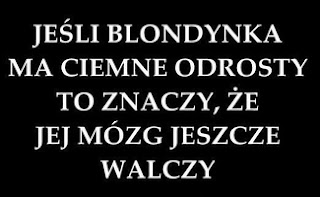 a4d8e2a7e0d0c102339f97716d2fdfb6.jpg