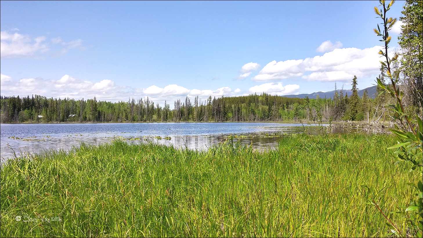 Northern Interior British Columbia Irrigation Lake Houston British