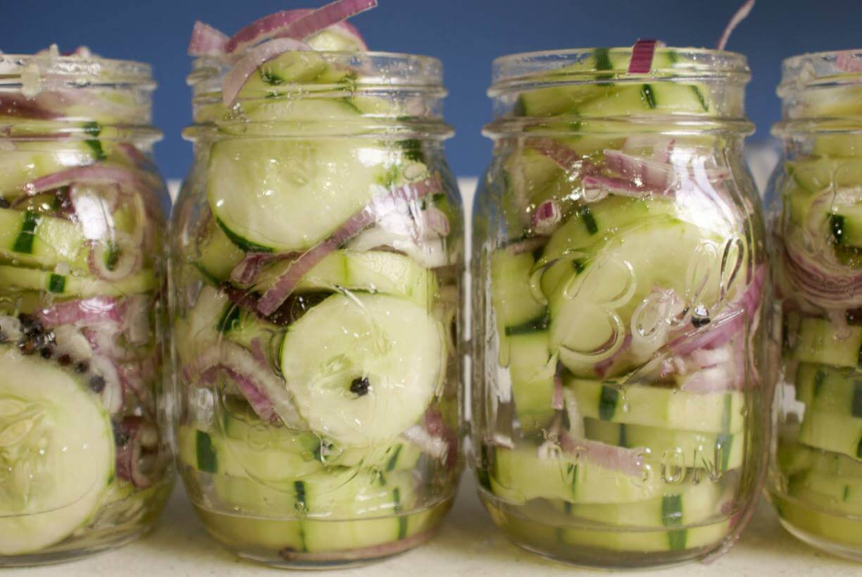 How To Make Icebox Pickles 100 Delicious