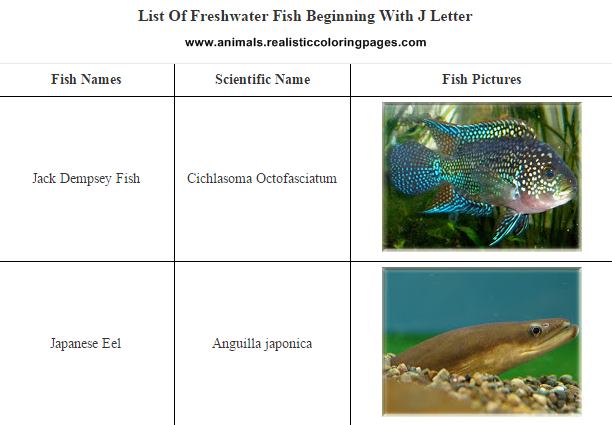 List of freshwater fish beginning with J List of freshwater fish beginning with J