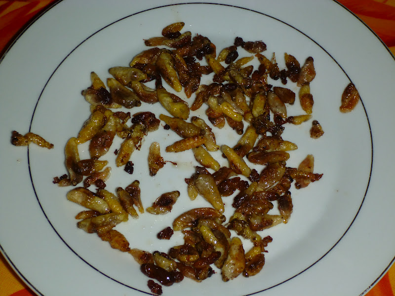 Guigui in Run larves de guêpes à la Réunion miam miam! — free download