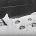 Ces quintuplées voient le jour en 1934 mais les pauvres n'ont aucune idée de l'horrible vie qui les attend.