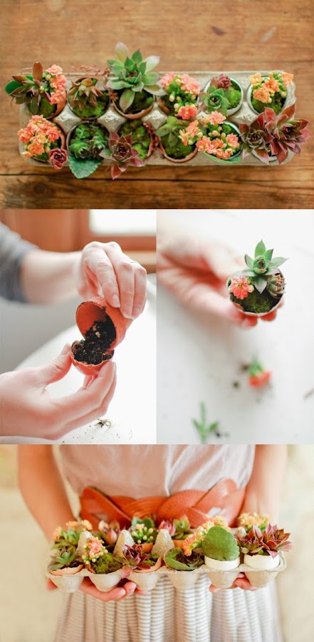 http://maikonagao.blogspot.sg/2013/01/diy-egg-shell-garden.html