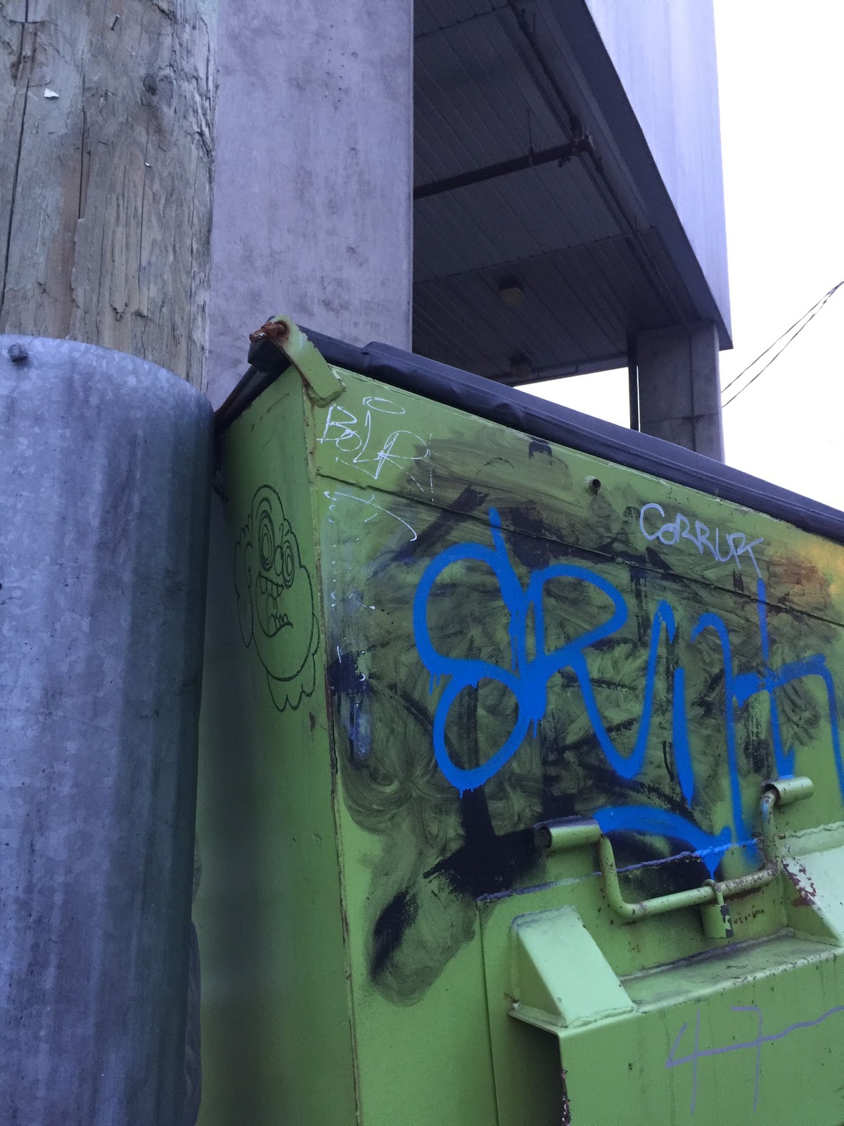 Back-Alley Wanderings in Urban Vancouver