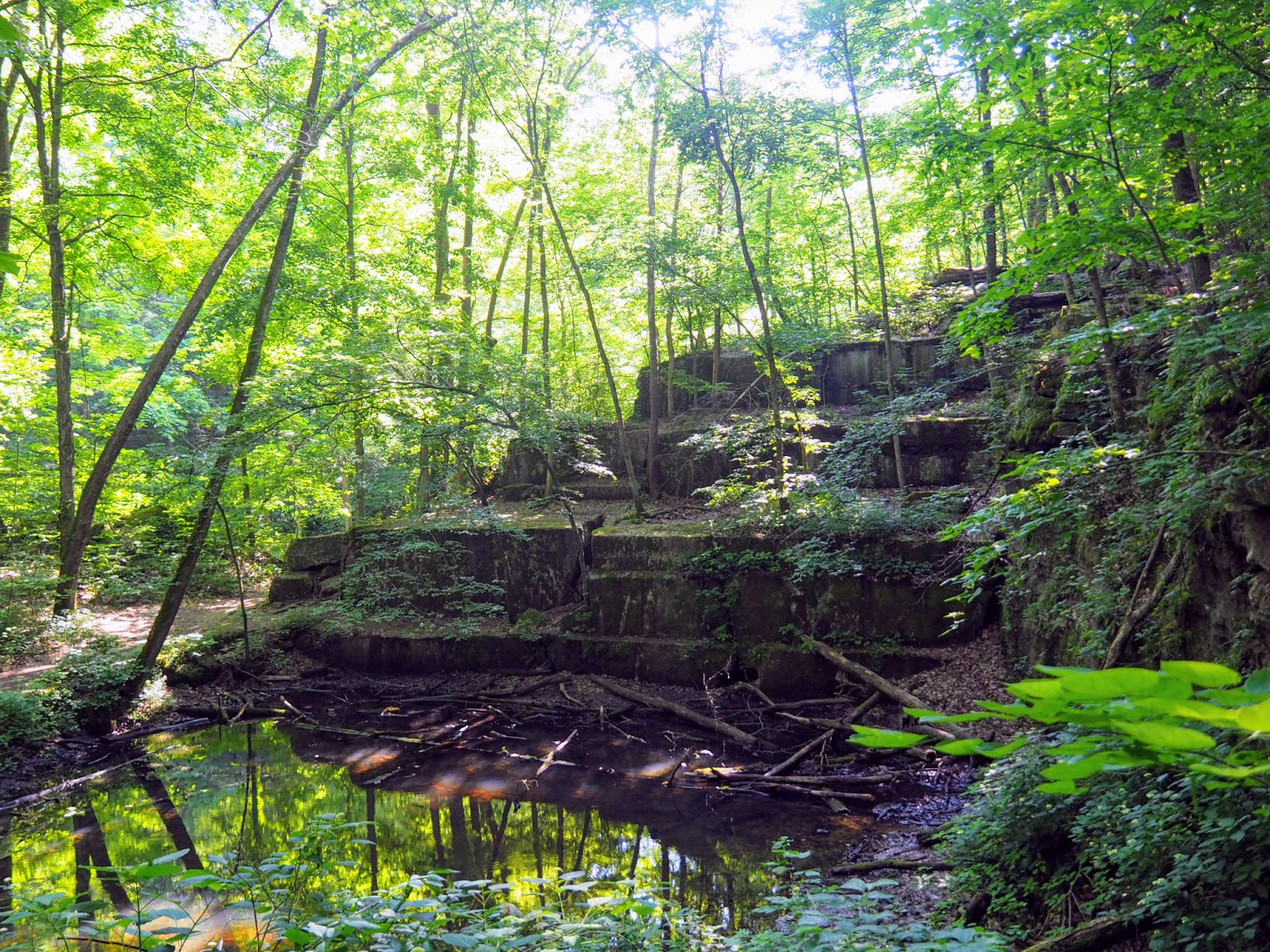 Spencer, IN McCormick's Creek State Park, Old State House Quarry