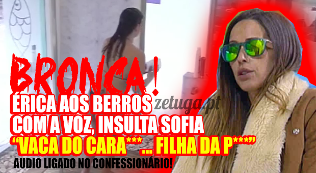 érica silva voz sofia sousa desafio final 4 casa dos segredos