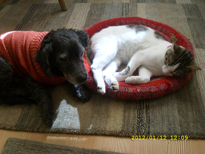 Minik , Jane ve Colette Küçük kızımın sıkıntıları