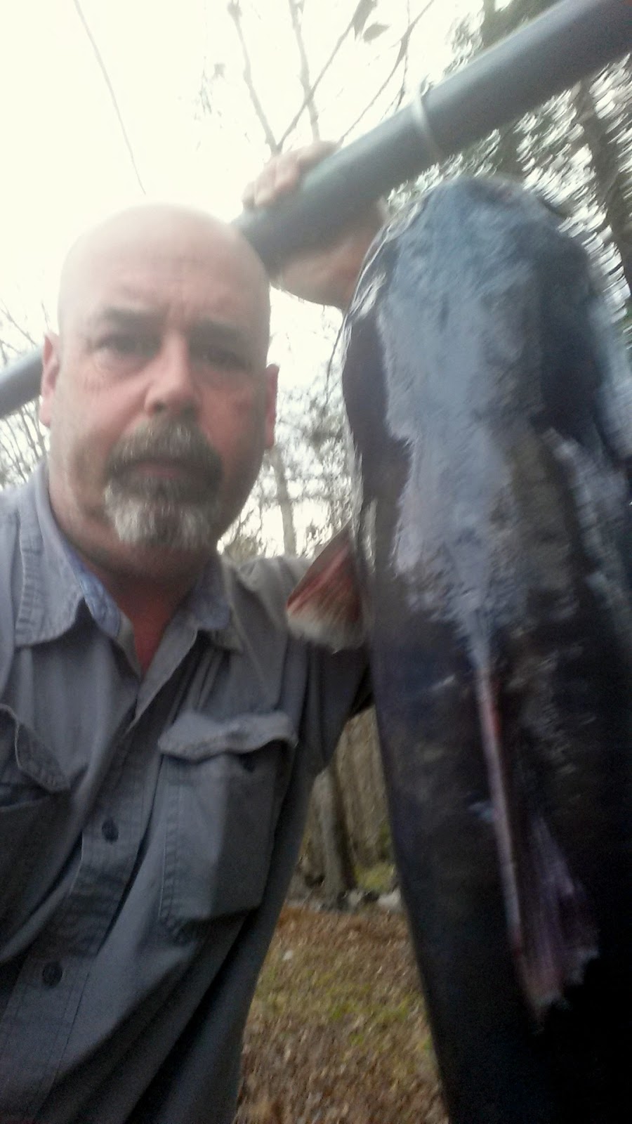 Southern With A Twist Fish Fry... with two sauces for dipping!