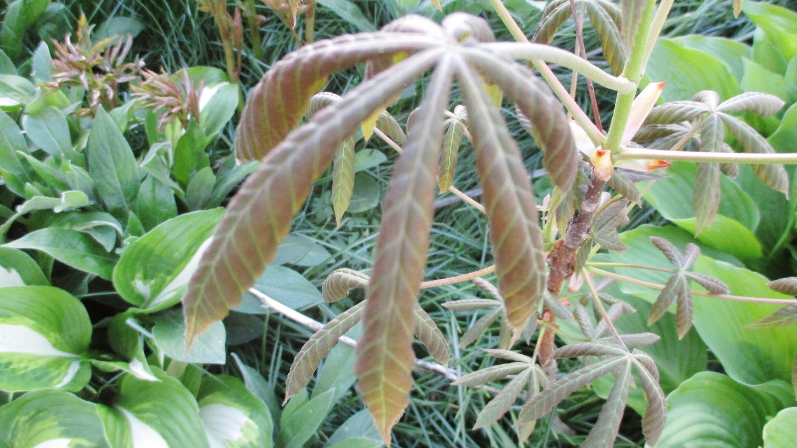 Deep Thoughts "Not What It Seems"