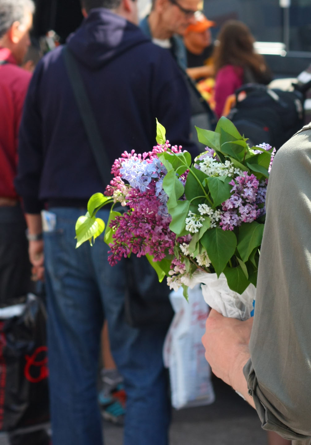 66 Square Feet (Plus) Union Square Farmers Market