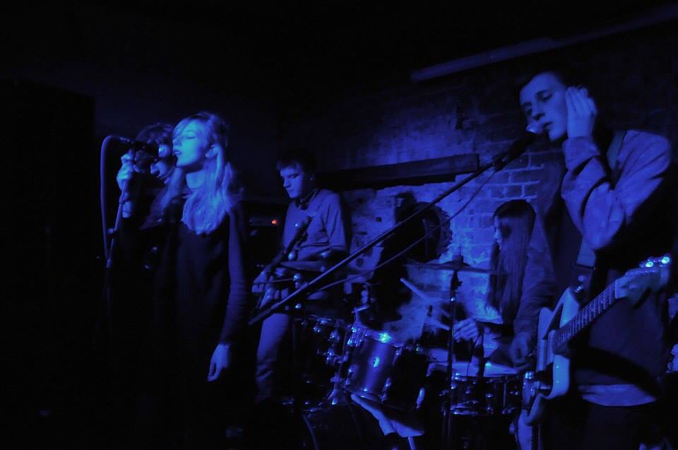 The Blog That Celebrates Itself Encounters Life on Venus An Interview