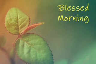 good morning good morning
