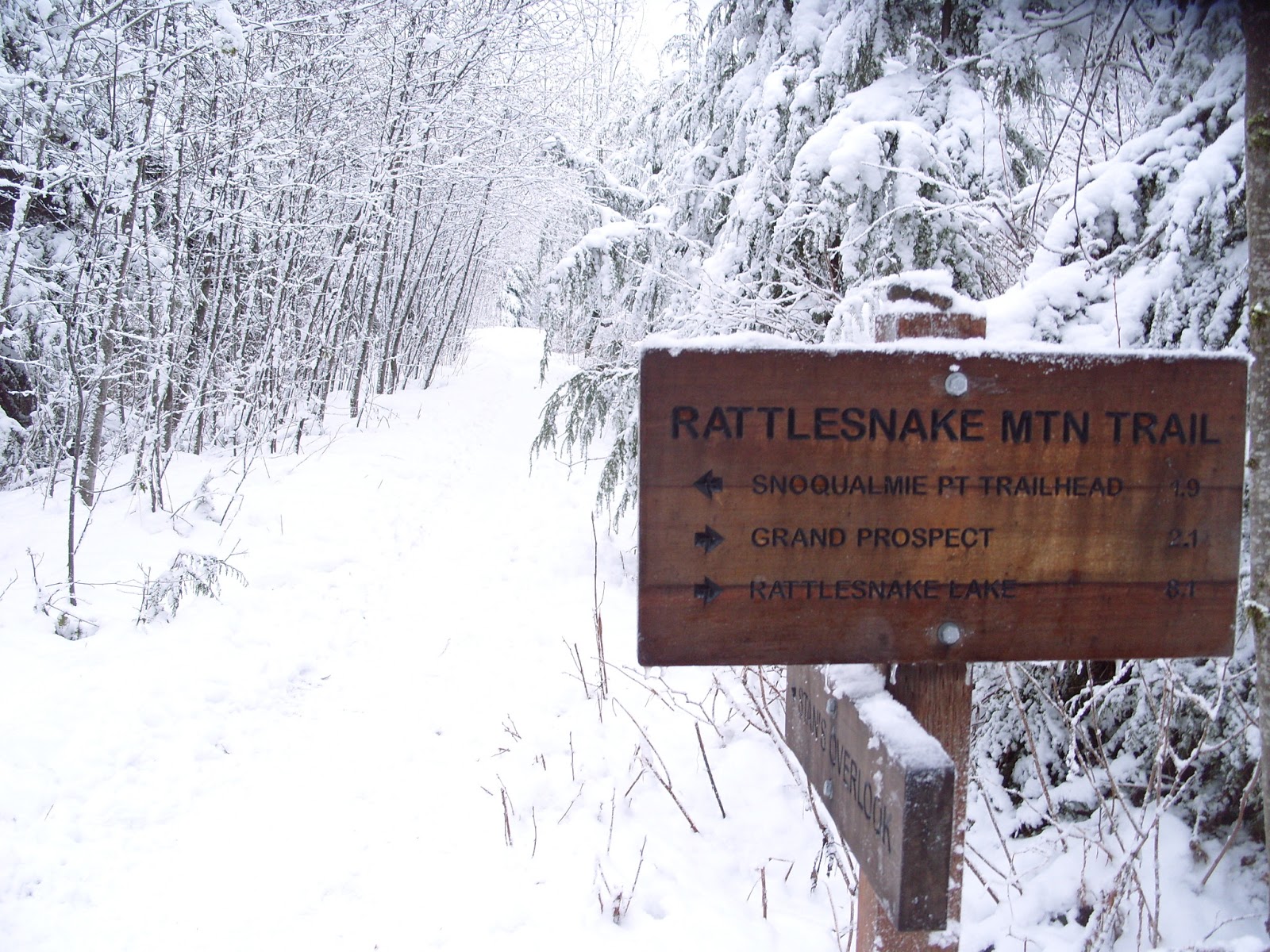 epic reader Hiking Rattlesnake Ridge