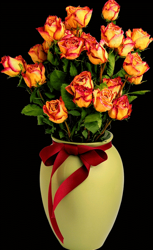 Gifs, Mensagens e Imagens Gifs de Rosas