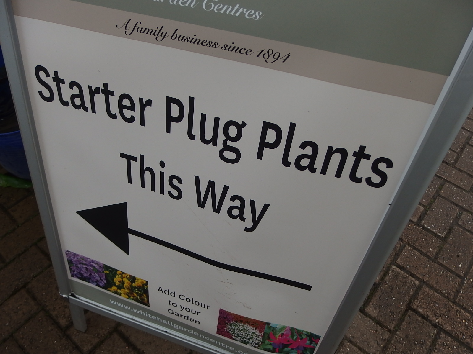 Plant Profiles Starter Plants