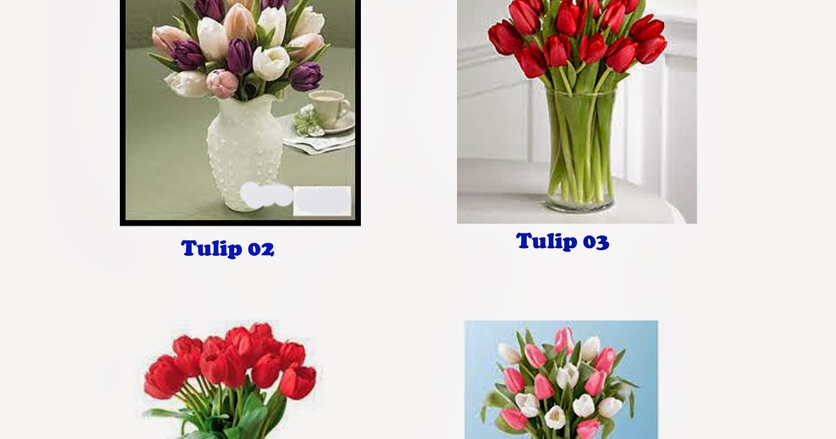 TOKO BUNGA CIKINIFLORIST JAKARTA Rangkaian Bunga Tulip TOKO BUNGA CIKINIFLORIST JAKARTA Rangkaian Bunga Tulip