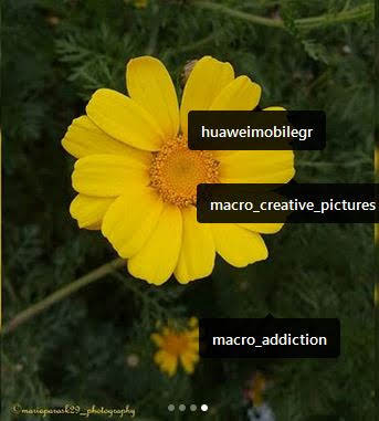 macro_flowers_photographyby mariaparask29_photography