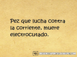 frases sarcasticas frases sarcasticas