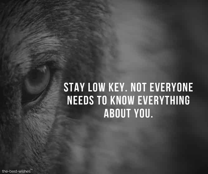 stay-low-key-not-everyone-needs-to-know-everything-about-you Motivational Positive Thoughts on Life Images