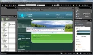 MS Expression Studio 4 Web Professional license