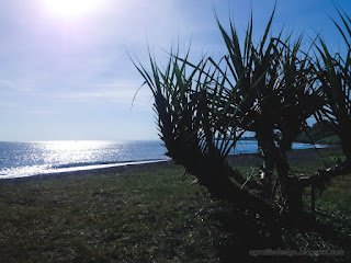 Bright Shine Of The Morning Sun Of Tropical Beach Panorama With Pandanus Plants North Bali Indonesia