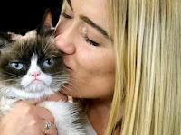 Finally it was announced the cause of Grumpy Cat Dead Finally it was announced the cause of Grumpy Cat Dead