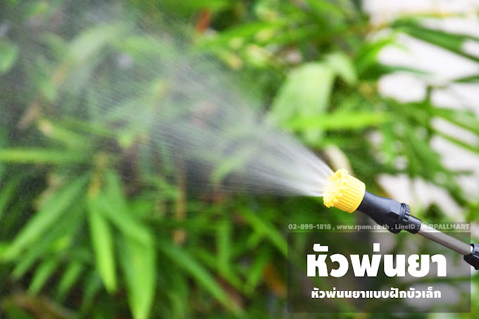 เครื่องพ่นยาแบตเตอรี่ 12 ลิตร น้ำหนักเบาใช้ง่าย สำหรับคุณผู้หญิง-