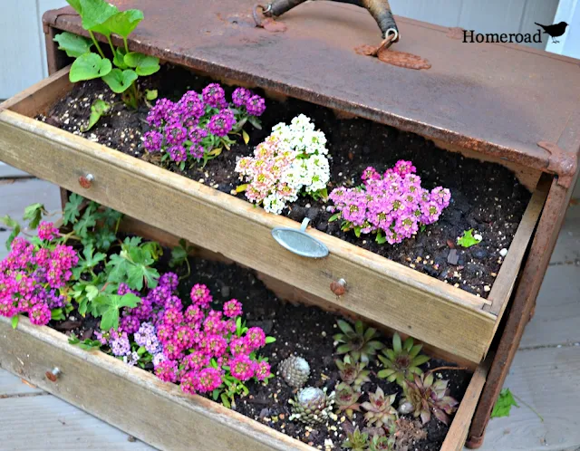 Fill a rusty vintage toolbox with dirt and flowers in the garden 