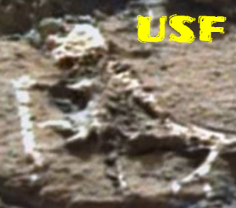 Skeletons and bones found on Mars by the Mars Rover Nasa is keeping quiet.